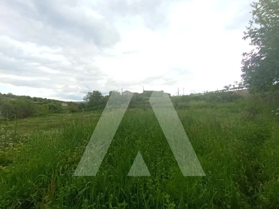 Quinta T6 para Venda em Vila Maior Foto 16