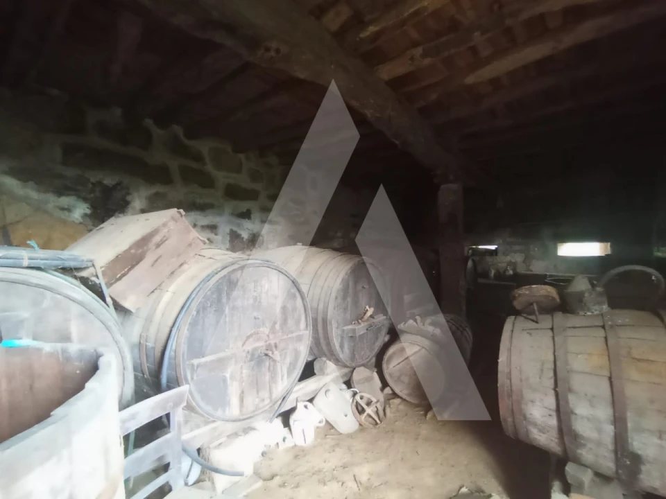 Quinta T6 para Venda em Vila Maior Foto 15