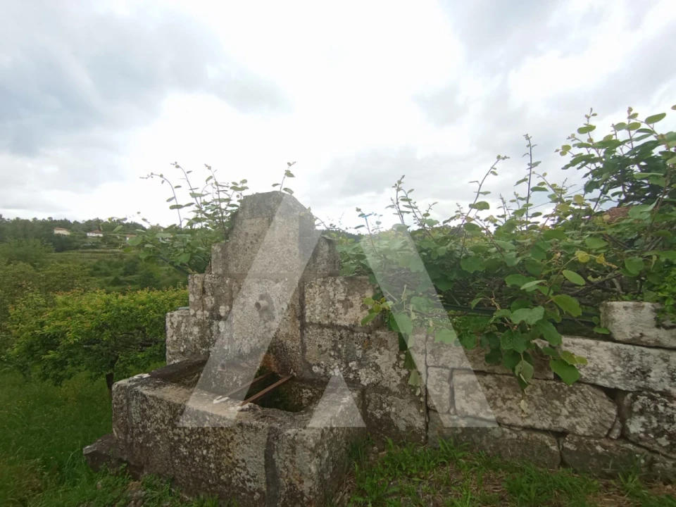 Quinta T6 para Venda em Vila Maior Foto 4