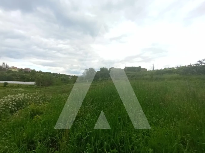 Quinta T6 para Venda em Vila Maior Foto 14