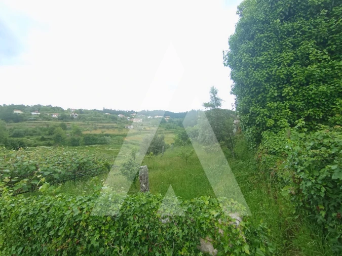 Quinta T6 para Venda em Vila Maior Foto 17