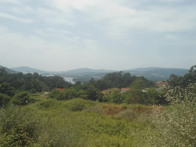 Terreno para Venda em Loivo Foto 4