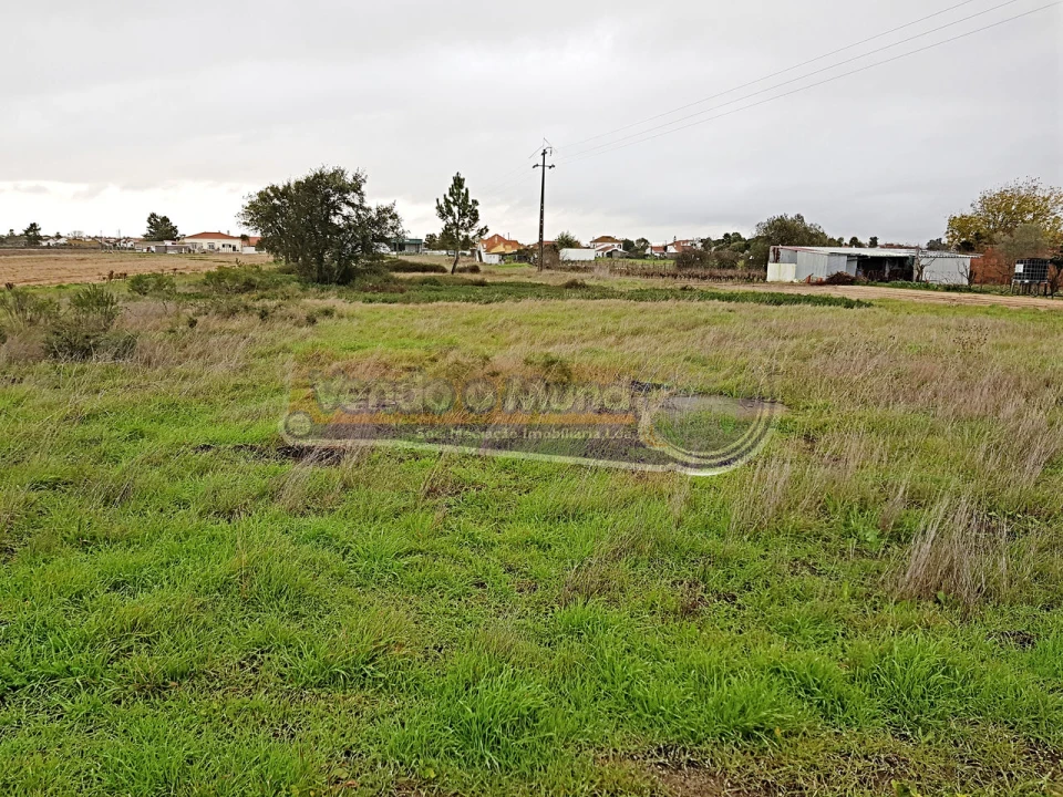 Terreno para Venda em Salvaterra de Magos e Foros de Salvaterra Foto 3