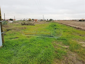 Terreno para Venda em Salvaterra de Magos e Foros de Salvaterra