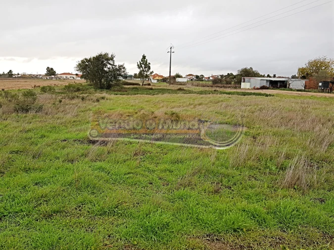 Terreno para Venda em Salvaterra de Magos e Foros de Salvaterra Foto 3