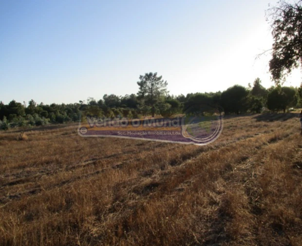 Terreno para Venda em Glória do Ribatejo e Granho Foto 5