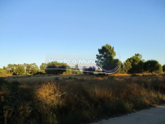 Terreno para Venda em Glória do Ribatejo e Granho Foto 7