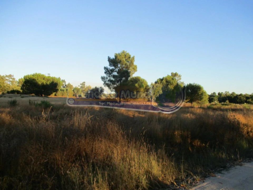 Terreno para Venda em Glória do Ribatejo e Granho Foto 6