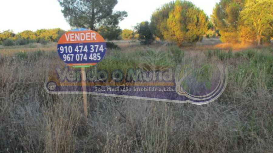 Terreno para Venda em Glória do Ribatejo e Granho