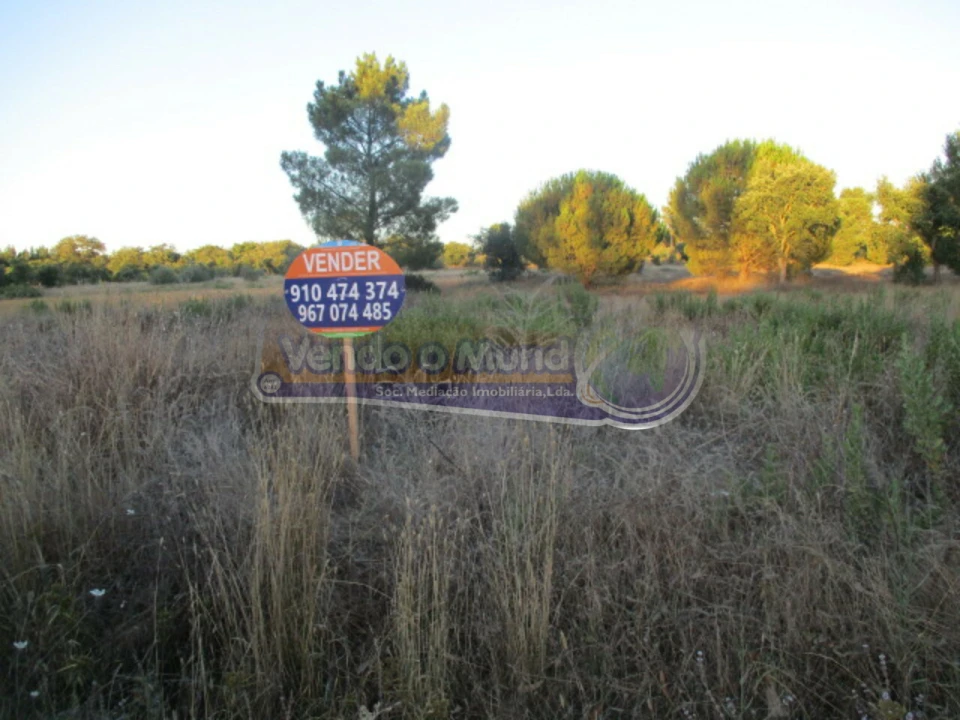 Terreno para Venda em Glória do Ribatejo e Granho Foto 1