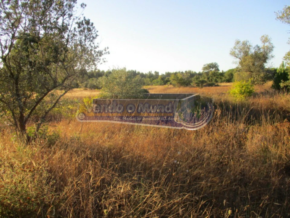 Terreno para Venda em Glória do Ribatejo e Granho Foto 2