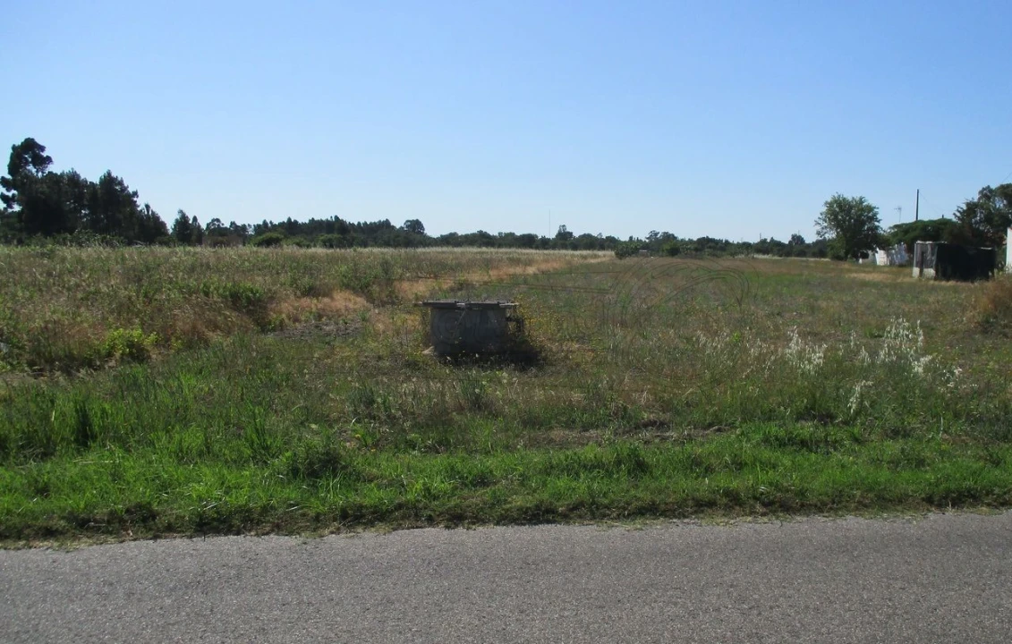 Terreno para Venda em Glória do Ribatejo e Granho Foto 3