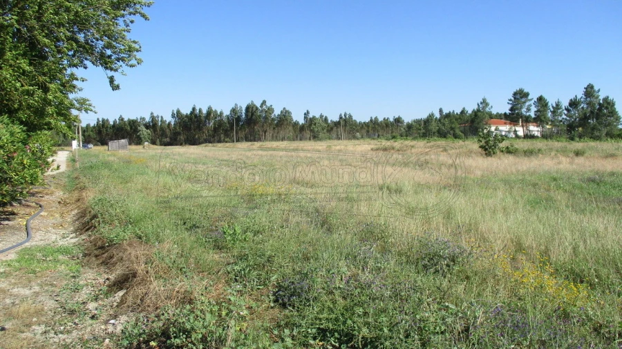 Terreno para Venda em Glória do Ribatejo e Granho Foto 5