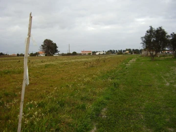 Terreno para Venda em Salvaterra de Magos e Foros de Salvaterra