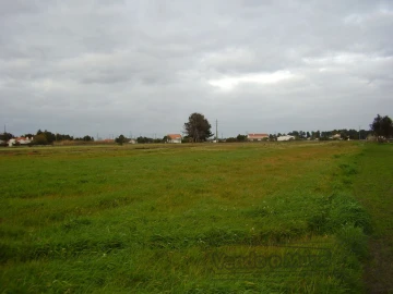 Terreno para Venda em Salvaterra de Magos e Foros de Salvaterra