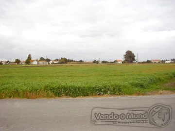 Terreno para Venda em Salvaterra de Magos e Foros de Salvaterra