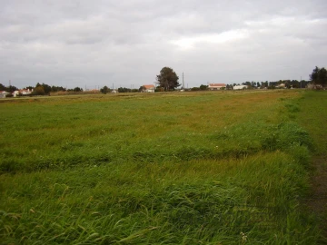 Terreno para Venda em Salvaterra de Magos e Foros de Salvaterra