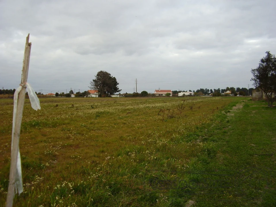 Terreno para Venda em Salvaterra de Magos e Foros de Salvaterra Foto 5