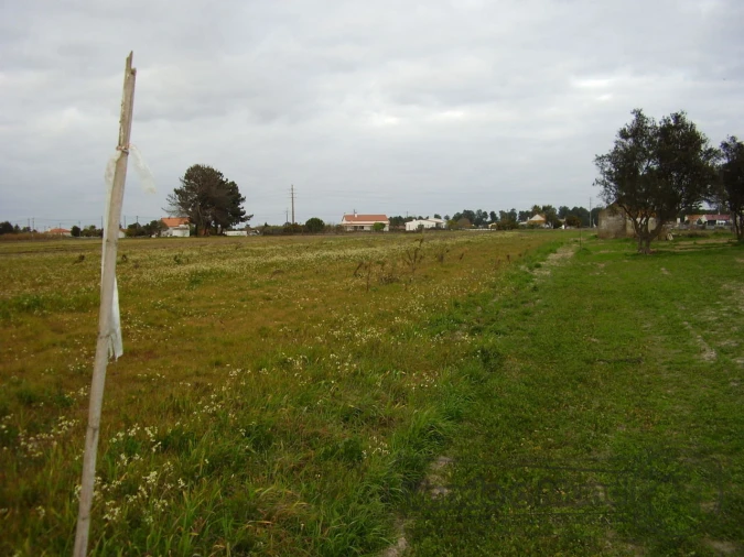Terreno para Venda em Salvaterra de Magos e Foros de Salvaterra Foto 3