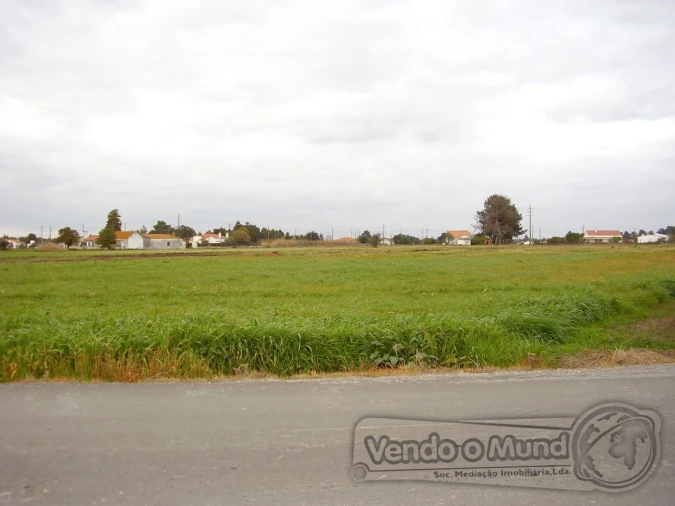 Terreno para Venda em Salvaterra de Magos e Foros de Salvaterra Foto 4