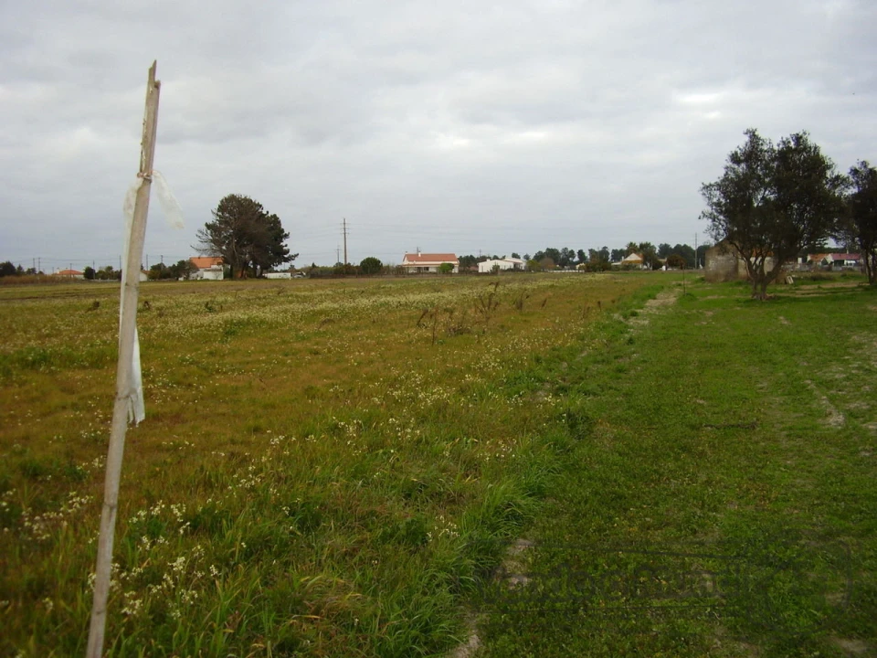 Terreno para Venda em Salvaterra de Magos e Foros de Salvaterra Foto 3