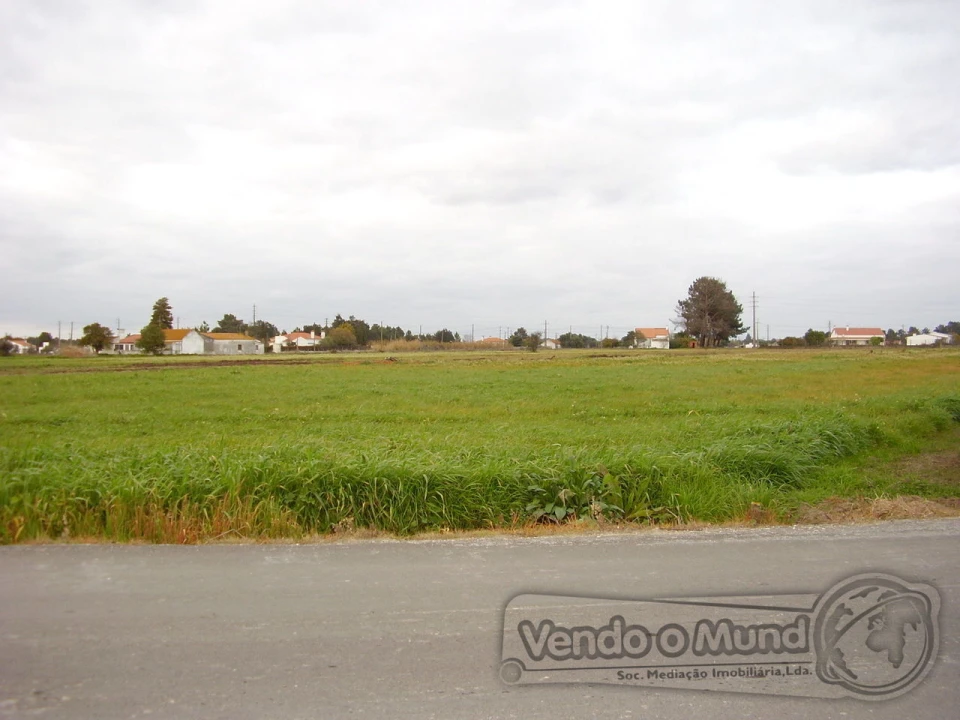 Terreno para Venda em Salvaterra de Magos e Foros de Salvaterra Foto 4