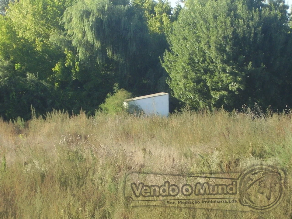 Terreno para Venda em Marinhais Foto 7