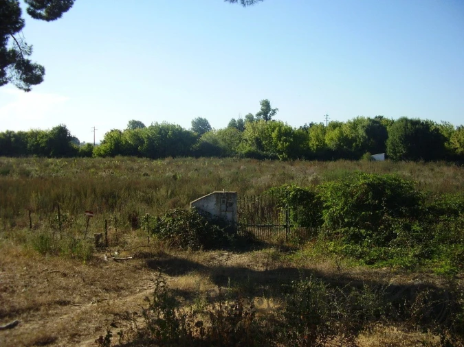 Terreno para Venda em Marinhais