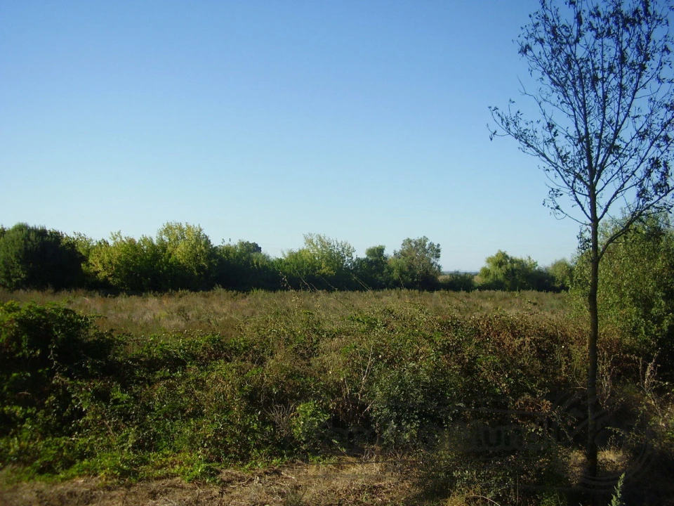 Terreno para Venda em Marinhais Foto 4