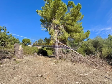 Terreno para Venda em Vila Franca de Xira