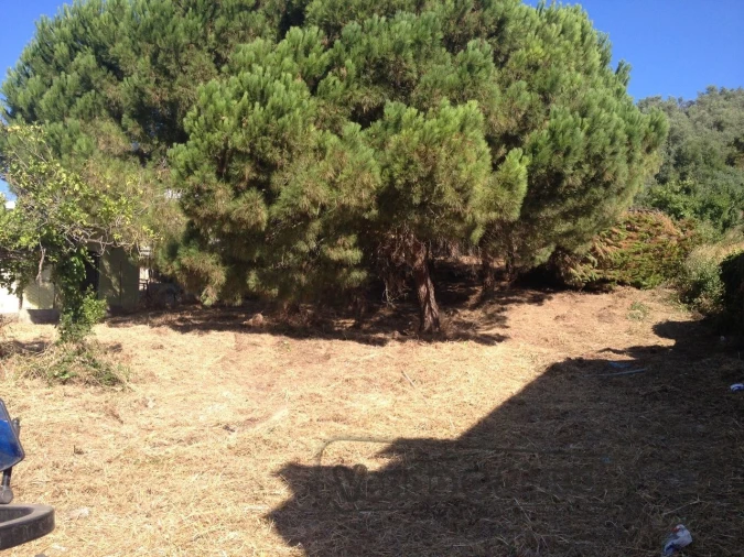 Terreno para Venda em Vila Franca de Xira Foto 3