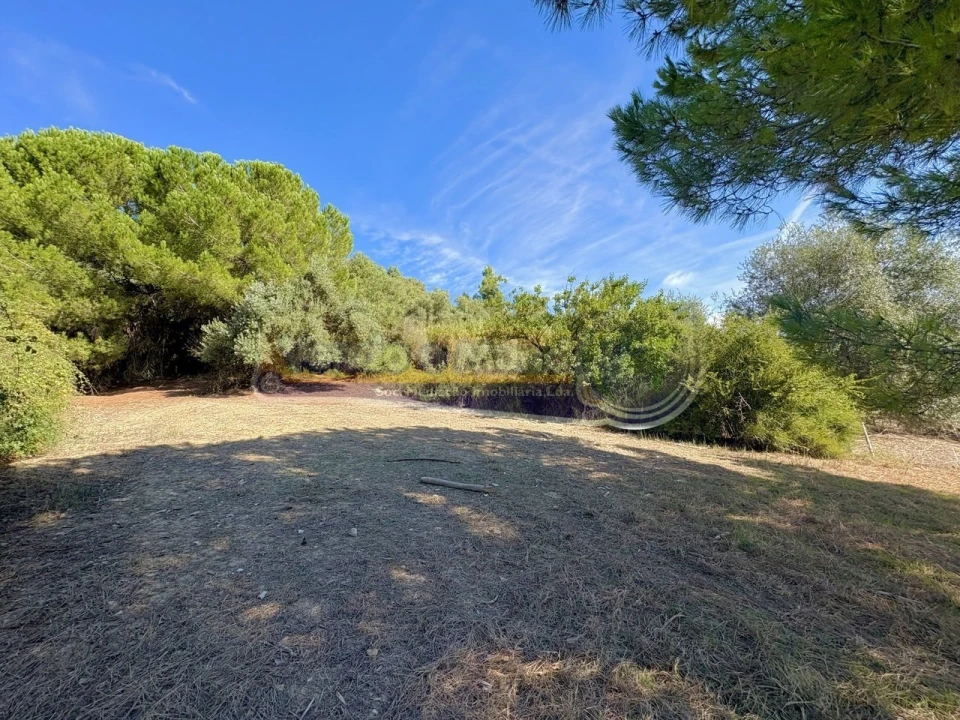 Terreno para Venda em Vila Franca de Xira Foto 10