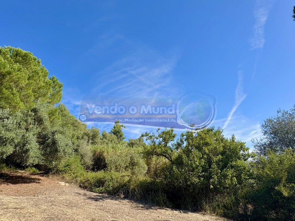 Terreno para Venda em Vila Franca de Xira Foto 14