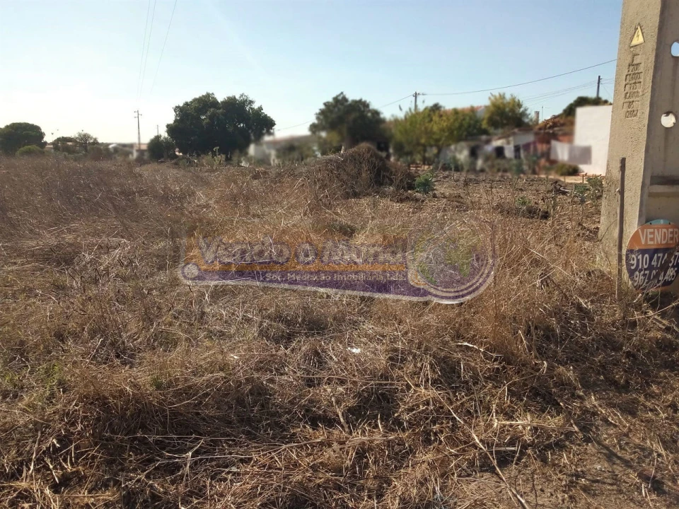 Terreno para Venda em Glória do Ribatejo e Granho Foto 4