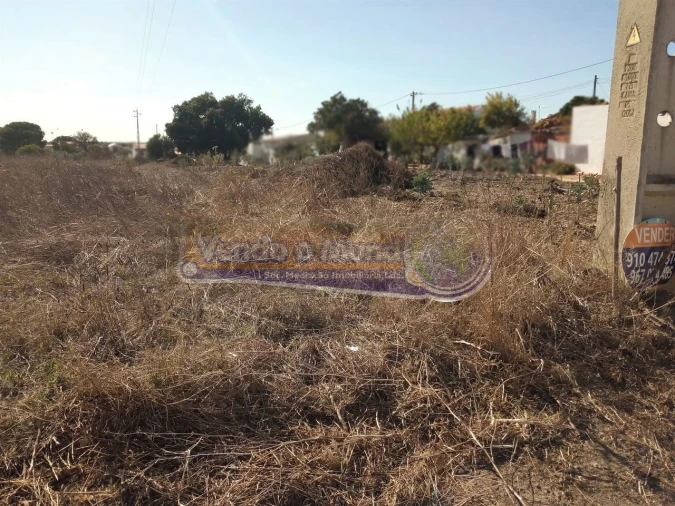 Terreno para Venda em Glória do Ribatejo e Granho Foto 4