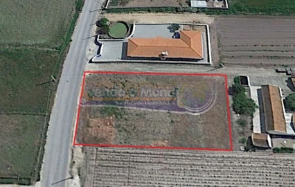 Terreno para Venda em Salvaterra de Magos e Foros de Salvaterra