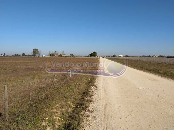 Terreno para Venda em Salvaterra de Magos e Foros de Salvaterra Foto 8