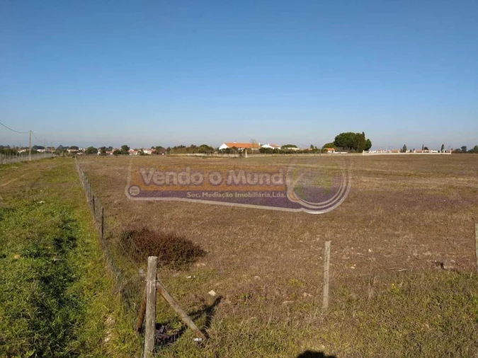 Terreno para Venda em Salvaterra de Magos e Foros de Salvaterra Foto 9