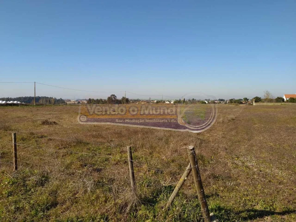 Terreno para Venda em Salvaterra de Magos e Foros de Salvaterra Foto 3