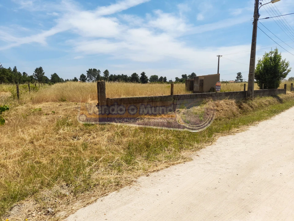 Terreno para Venda em Marinhais Foto 1