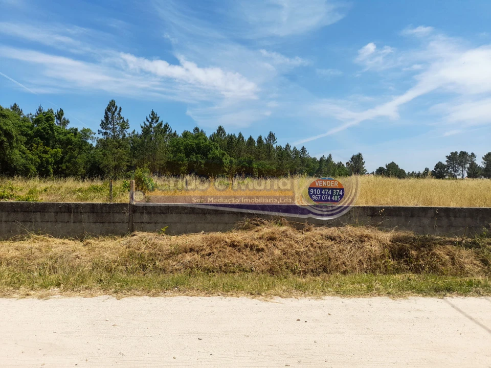 Terreno para Venda em Marinhais Foto 2
