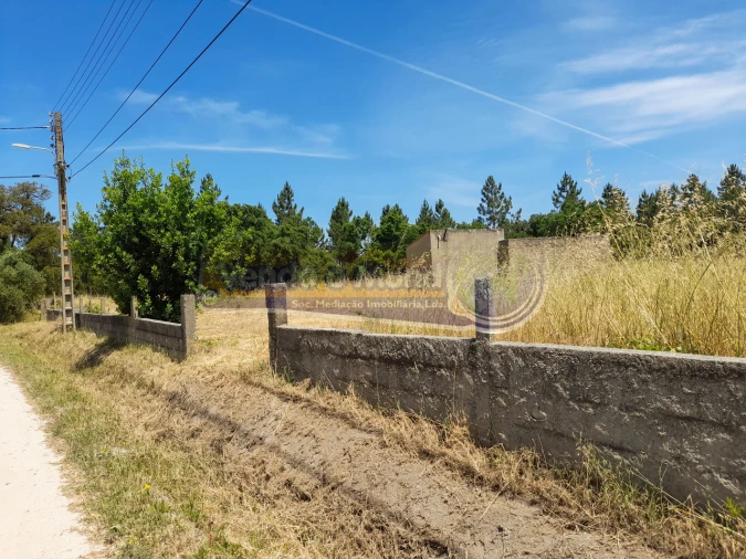 Terreno para Venda em Marinhais Foto 5