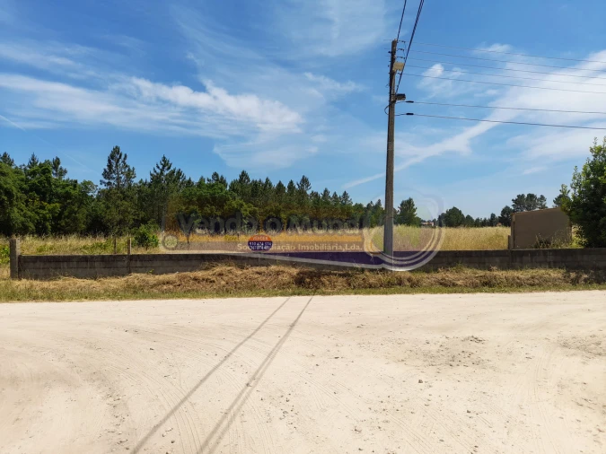 Terreno para Venda em Marinhais Foto 4