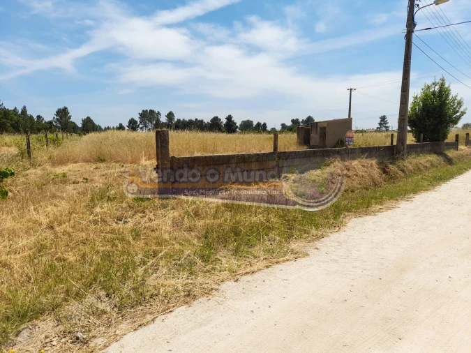 Terreno para Venda em Marinhais