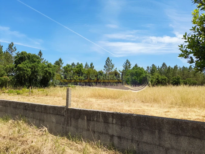 Terreno para Venda em Marinhais Foto 7