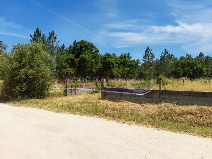 Terreno para Venda em Marinhais Foto 3