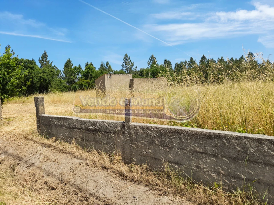 Terreno para Venda em Marinhais Foto 6