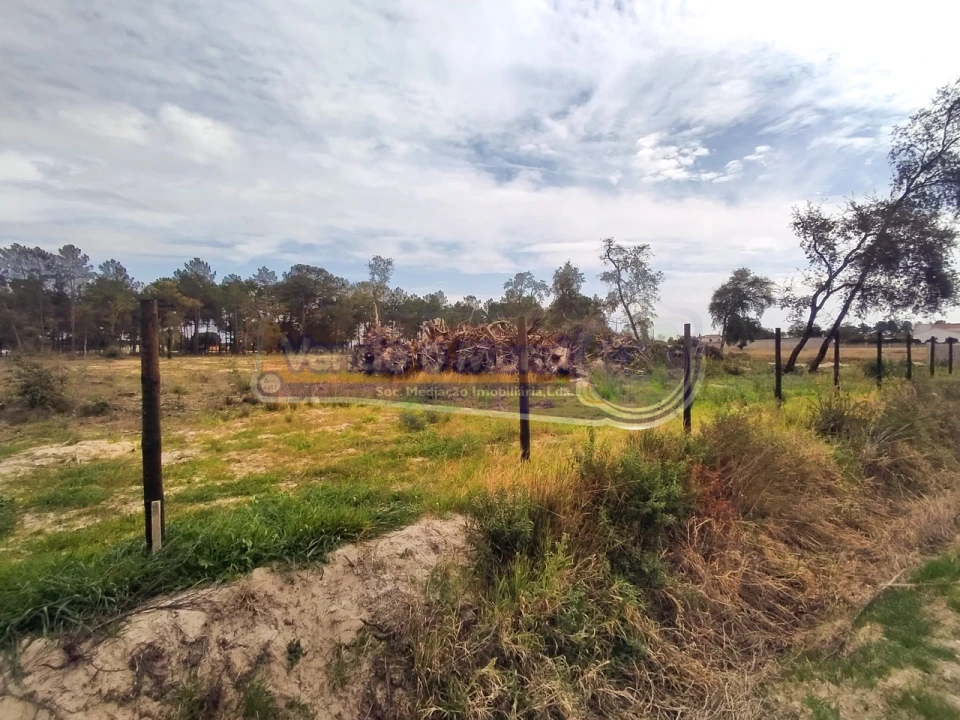 Terreno para Venda em Salvaterra de Magos e Foros de Salvaterra Foto 2