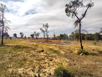 Terreno para Venda em Salvaterra de Magos e Foros de Salvaterra