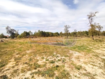 Terreno para Venda em Salvaterra de Magos e Foros de Salvaterra